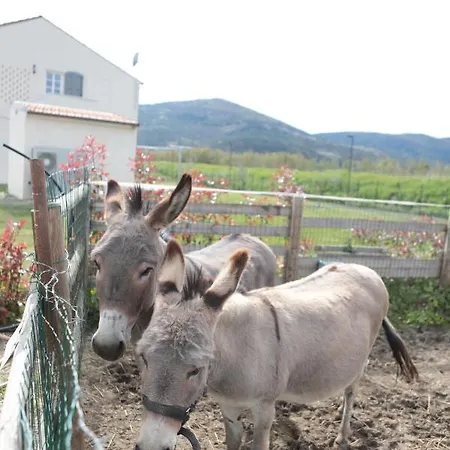 Séjour à la ferme I Casali Fiumaretta di Ameglia