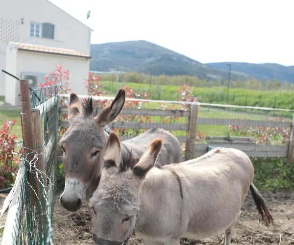 Feriegård I Casali Fiumaretta di Ameglia